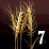 ����7